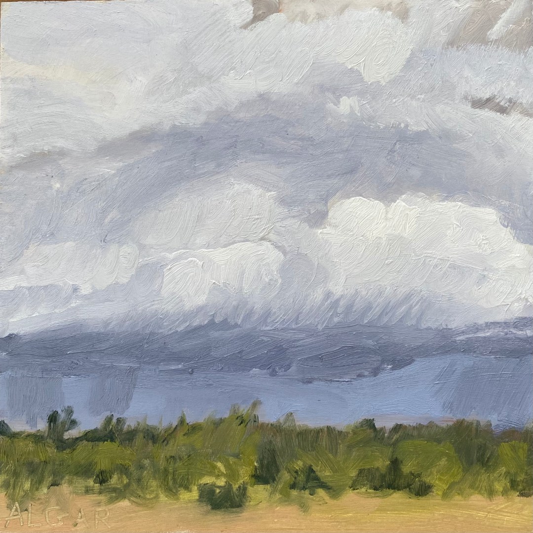Secret Storm #2 - Karoo landscape painting by Tracy Algar