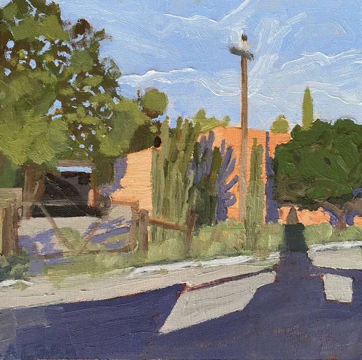 © 2026 Tracy Algar - original oil painting of long afternoon shadows in Mozenthal Street in Adendorp - Karoo landscape