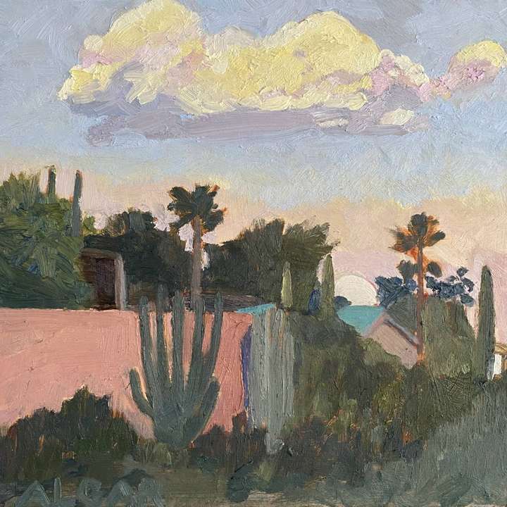 © 2025 Tracy Algar - original oil painting of Winter Sunset Cloud, Adendorp - Karoo landscape