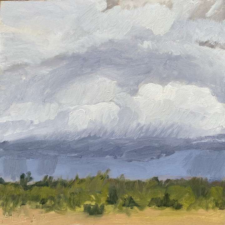 © 2026 Tracy Algar - original plein air painting of a rain storm on Karoo Secret farm near Aberdeen